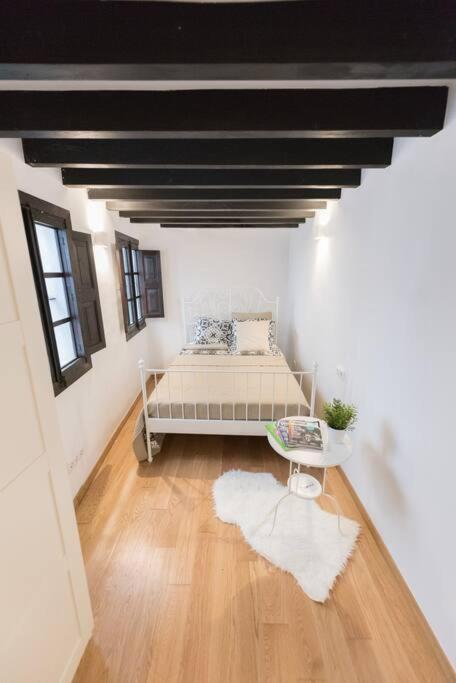 Loft En El Corazon De Palma Cerca De La Catedral 아파트 외부 사진